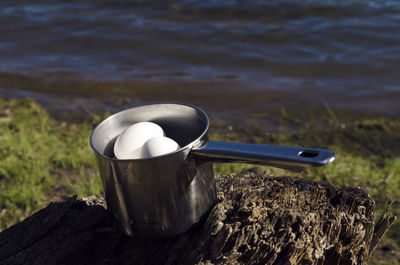 Close-up of eggs in sauce pan on tree stump at lakeshore