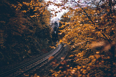 High angle view of railroad tracks amidst trees during autumn
