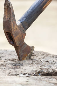 Close-up of rusty chain on wood