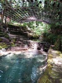 Scenic view of waterfall in forest