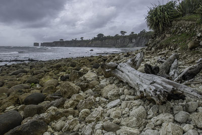 Scenic view of rocky shoreline with driftwood at the sea against dark sky