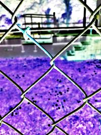 Full frame shot of purple chainlink fence