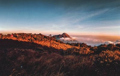 Scenic view of landscape against sky during sunset