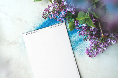 High angle view of purple flowering plant on white wall