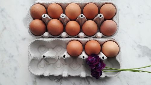 High angle view of eggs in container