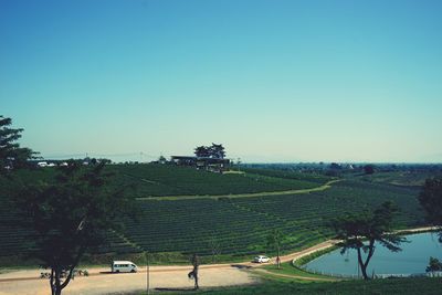 Scenic view of agricultural field against clear sky