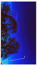 Low angle view of trees against blue sky