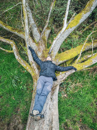 Full frame shot of tree trunk