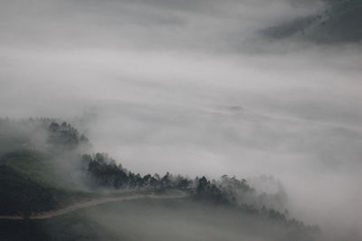 Trees on landscape against sky during foggy weather