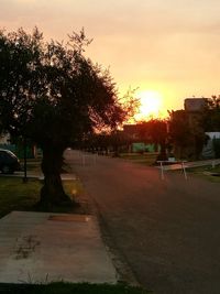 Trees in city against sky at sunset