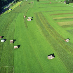 High angle view of agricultural field