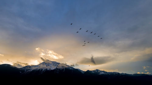 Silhouette birds flying over mountains against sky during sunset