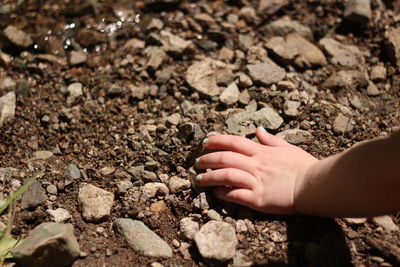 Cropped hand of girl on land