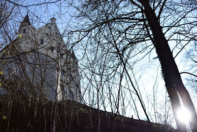 Low angle view of bare trees against sky
