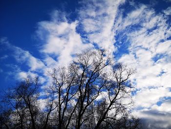 Low angle view of bare tree against blue sky