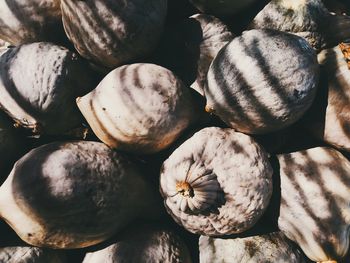 High angle view of pumpkins at market