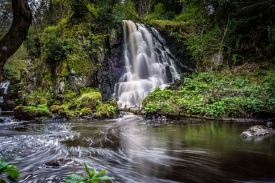 Scenic view of waterfall in forest