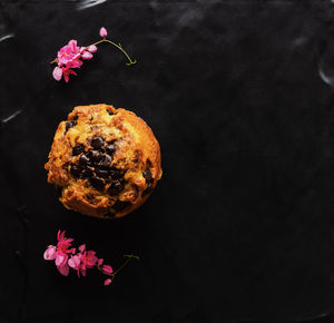 High angle view of pink flower against black background