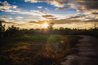 Scenic view of field against sky during sunset