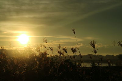 Scenic view of field against sky at sunset