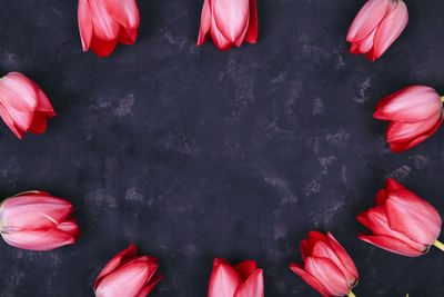 Close-up of red roses