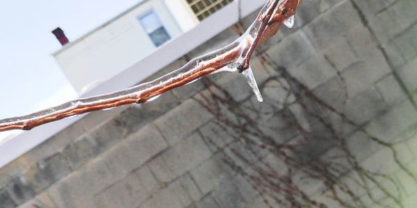 Close-up of snow on water