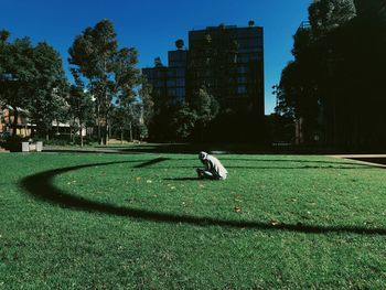 Man in park