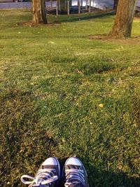 Low section of person standing on grassy field