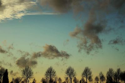 Low angle view of trees against cloudy sky