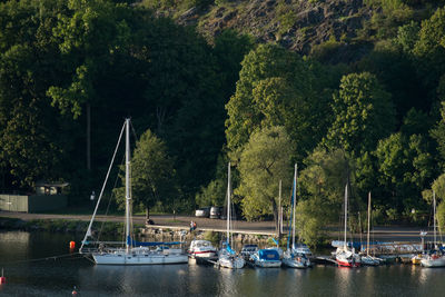 Boats moored on river by trees against sky