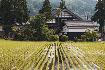 House on field against trees and houses