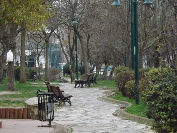 Empty bench in park