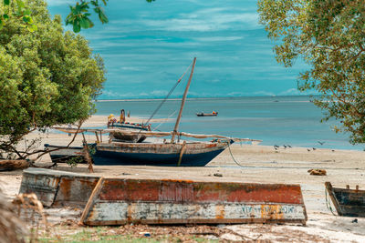 Tropical beach with rocks, lush vegetation on pemba island