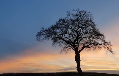 Silhouette bare tree against sky during sunset