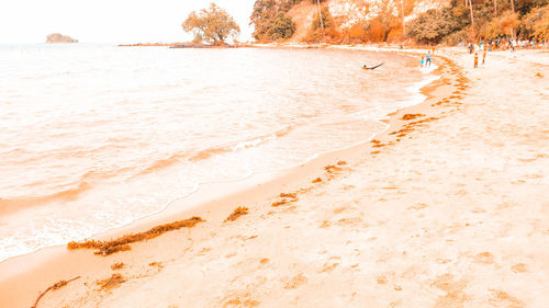 Scenic view of beach