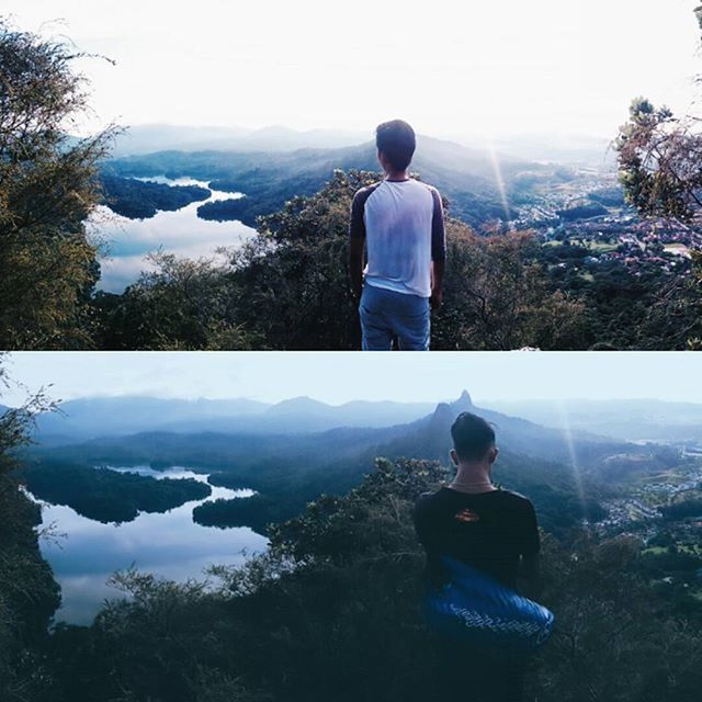 tree, rear view, sitting, mountain, leisure activity, lifestyles, men, tranquility, lake, looking at view, sky, casual clothing, nature, tranquil scene, full length, water, clear sky, standing