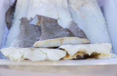 Close-up of fish in plate