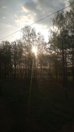 Trees on field against sky during sunset