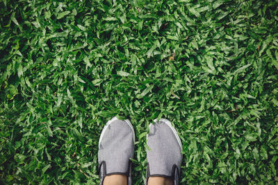 Low section of woman standing on field