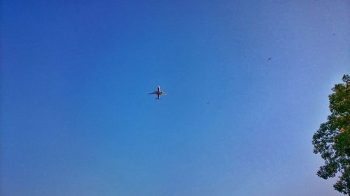 Low angle view of airplane flying in sky