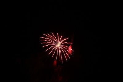 Low angle view of firework display at night
