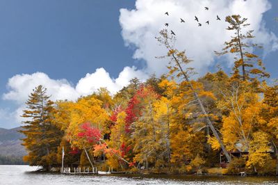 Autumn trees by lake in forest against sky