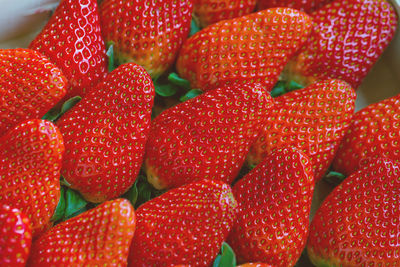 Fresh harvested strawberries in box, closeup