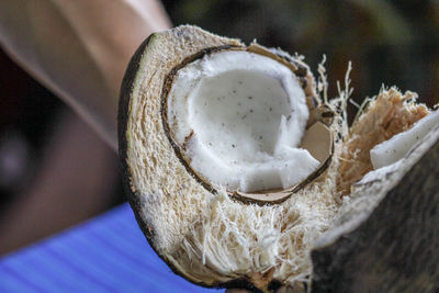 Close-up of bread in container