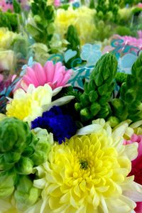 Close-up of multi colored flowers for sale