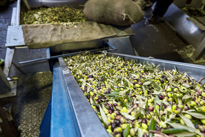 High angle view of bananas in container