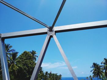 Low angle view of palm trees against blue sky