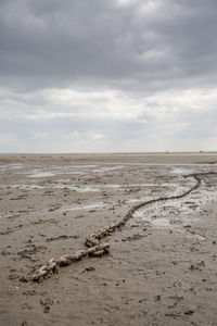 Fishing boat anchor chain stuck on the beach in low tide period in leigh-on-sea, uk.