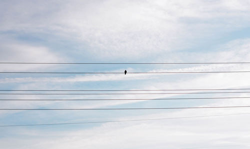 Low angle view of birds perching on cable against sky