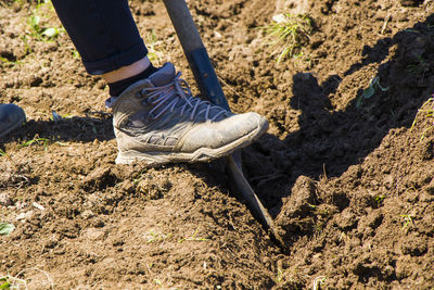 Low section of person standing on mud